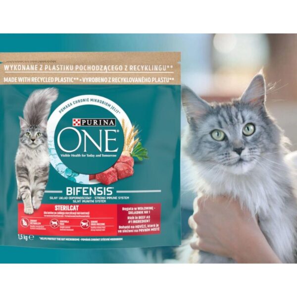 Karma sucha dla kota PURINA ONE Bifensis Sterilcat Wołowina z pszenicą 1.5 kg - obrazek 2