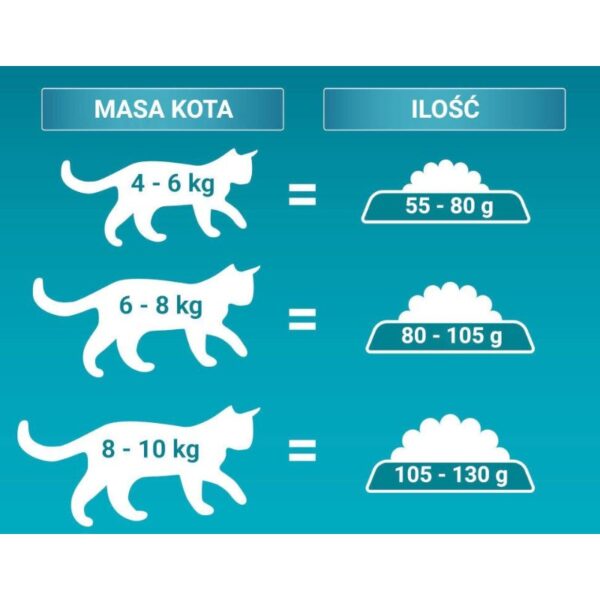 Karma sucha dla kota PURINA ONE Bifensis Sterilcat Wołowina z pszenicą 1.5 kg - obrazek 3